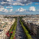 Image for article titled Do Trees Really Help Clean the Air in Our Cities?